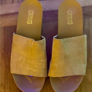Carlos by Carlos Santana Delphina microsuede wedge sandals. Worn once.